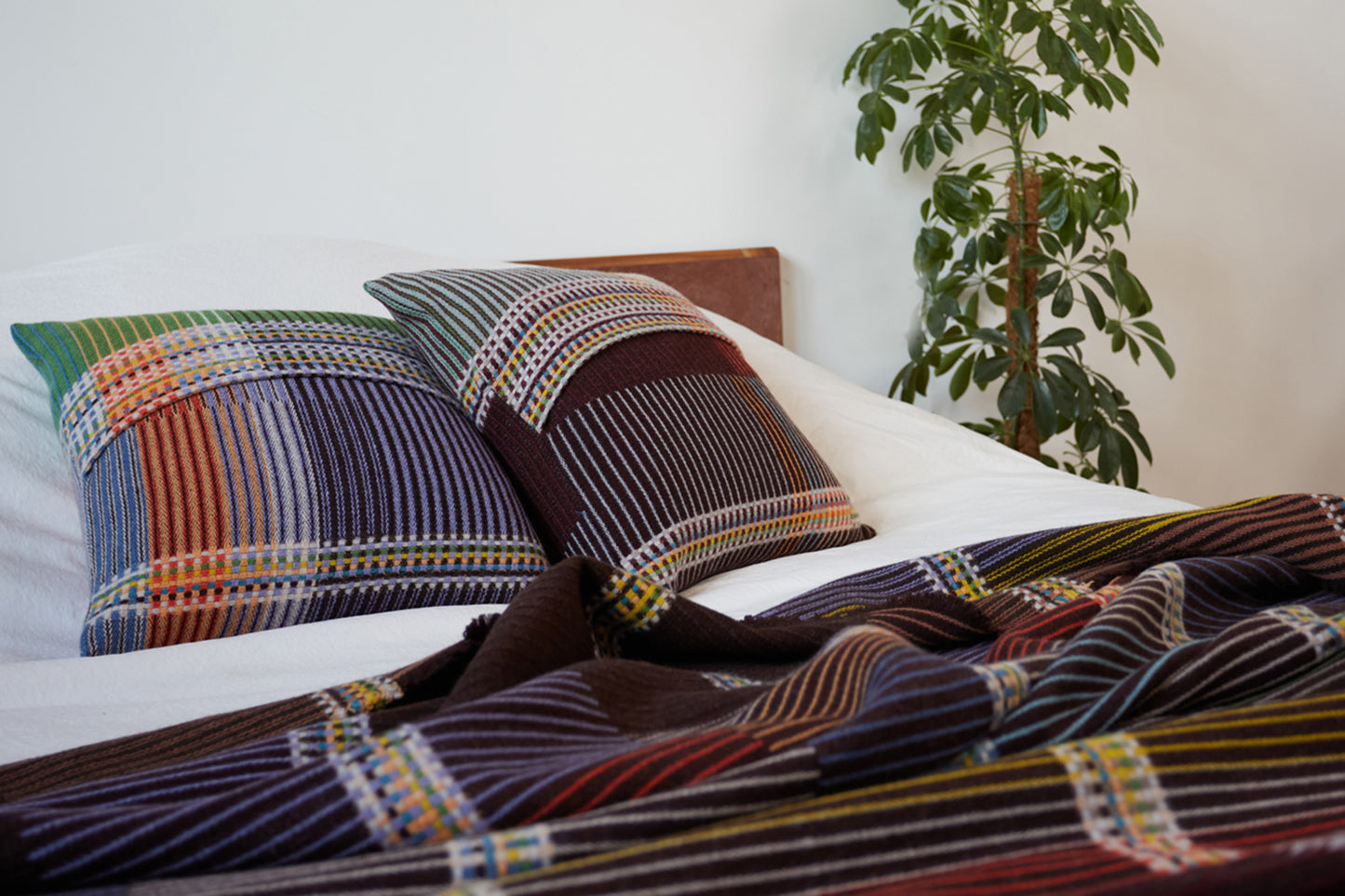 Florence Throw