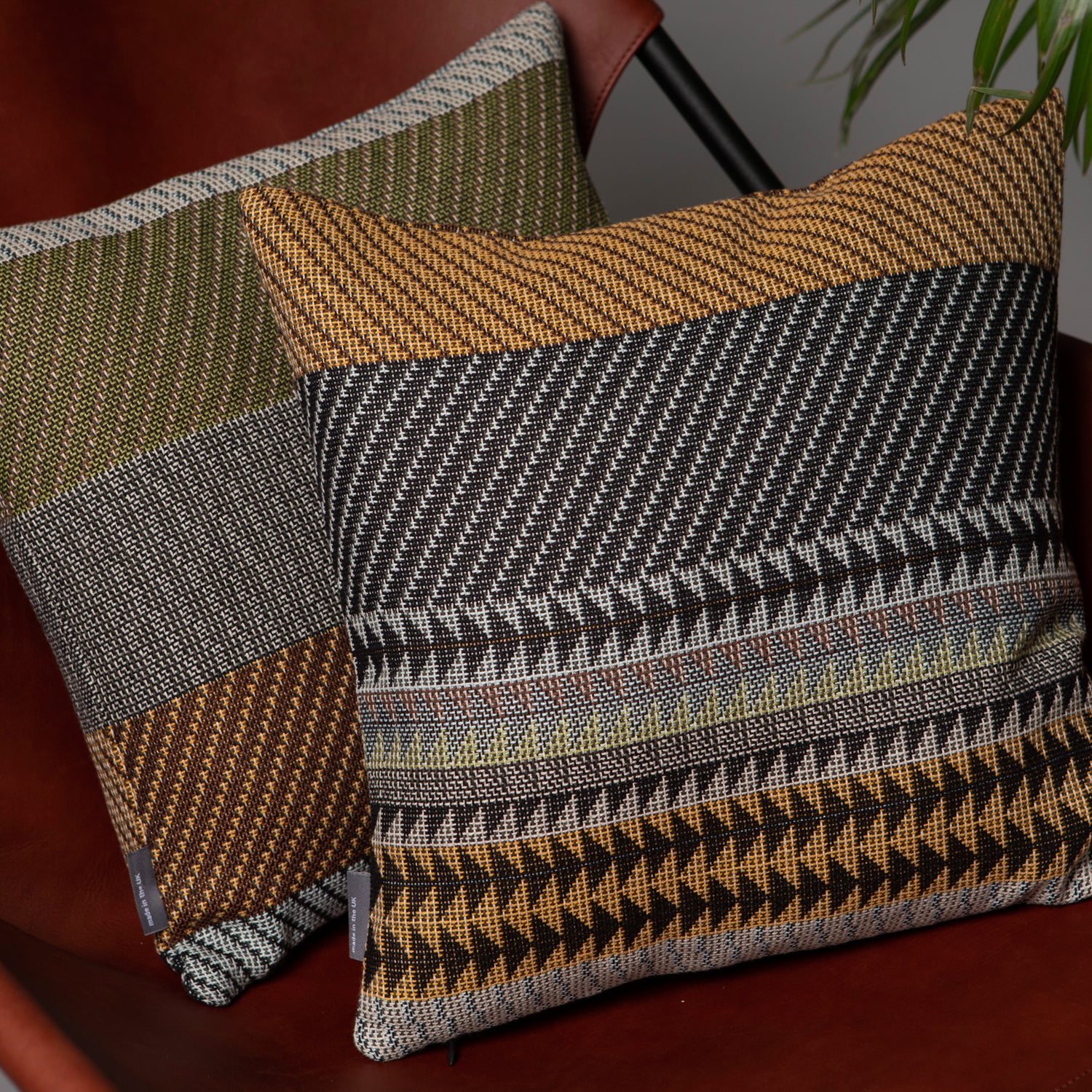 Cotton Stella Cushions