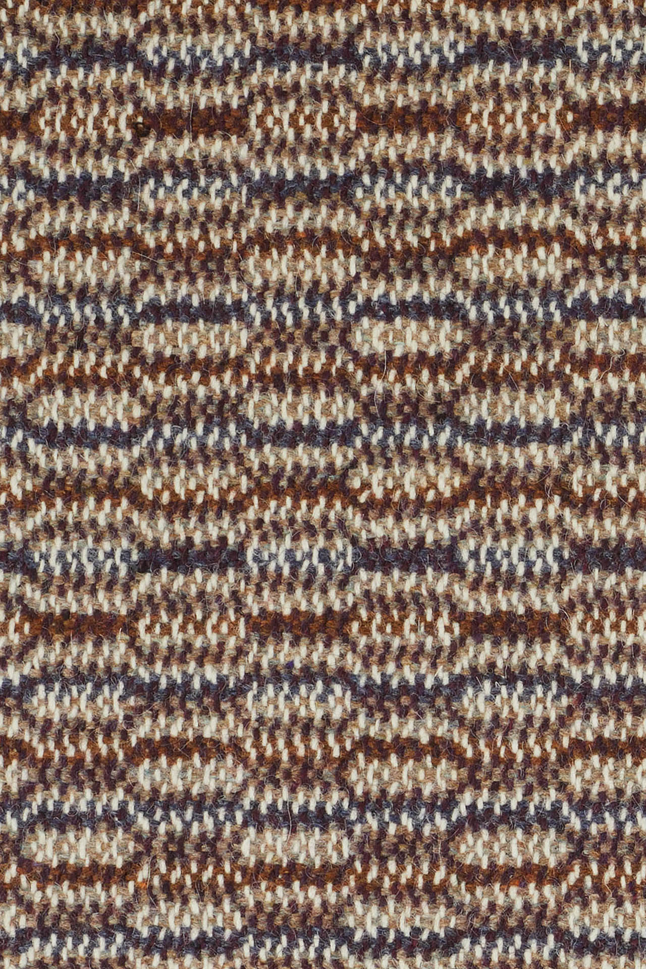 Sycamore - Acorn